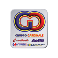 Gruppo Cardinale (1)